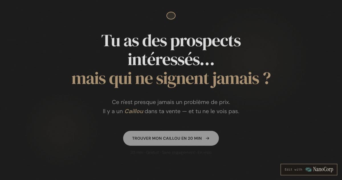 Caillou — Helps French-speaking freelance consultants and coaches find out why interested prospects never sign.