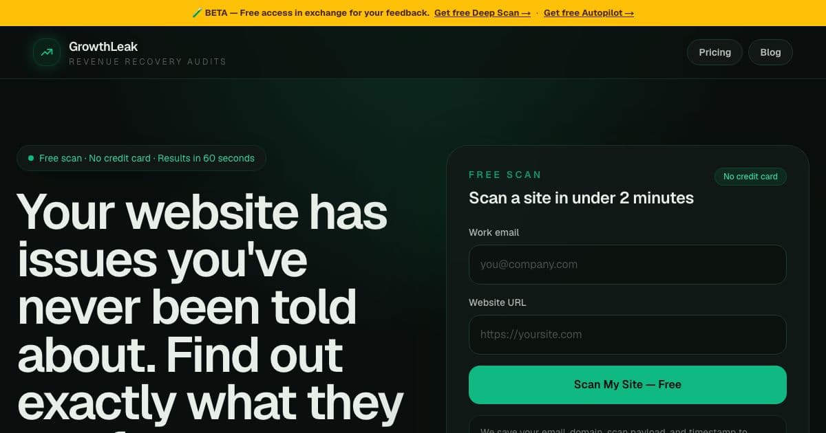 GrowthLeak — Scans a business website, grades its health from A to F and explains how to fix its SEO, speed, copy and conversion issues.