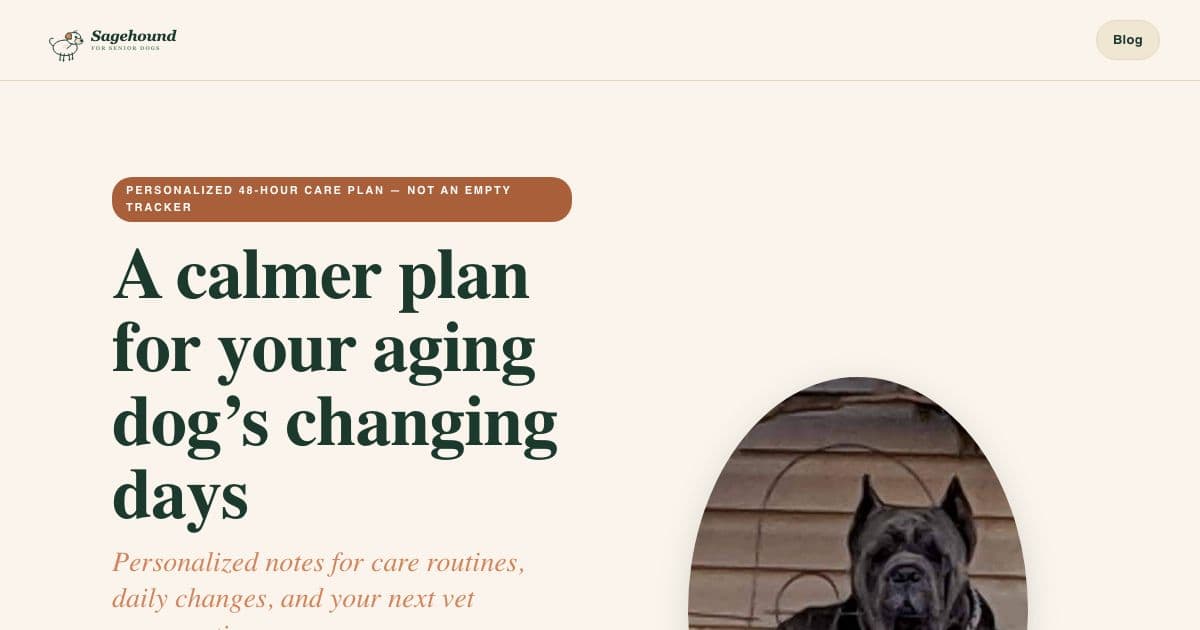 Jingly — Builds personalized routine and observation plans for owners of aging dogs, ready to bring to a veterinarian.