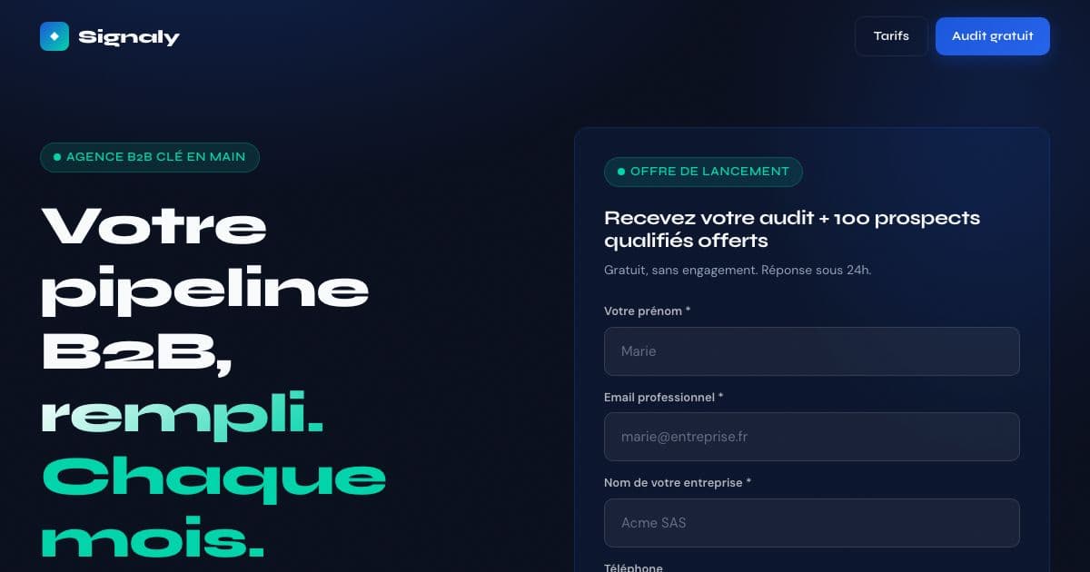 Signaly — Done-for-you cold email and LinkedIn prospecting that books qualified sales meetings for French companies with fewer than 250 staff.