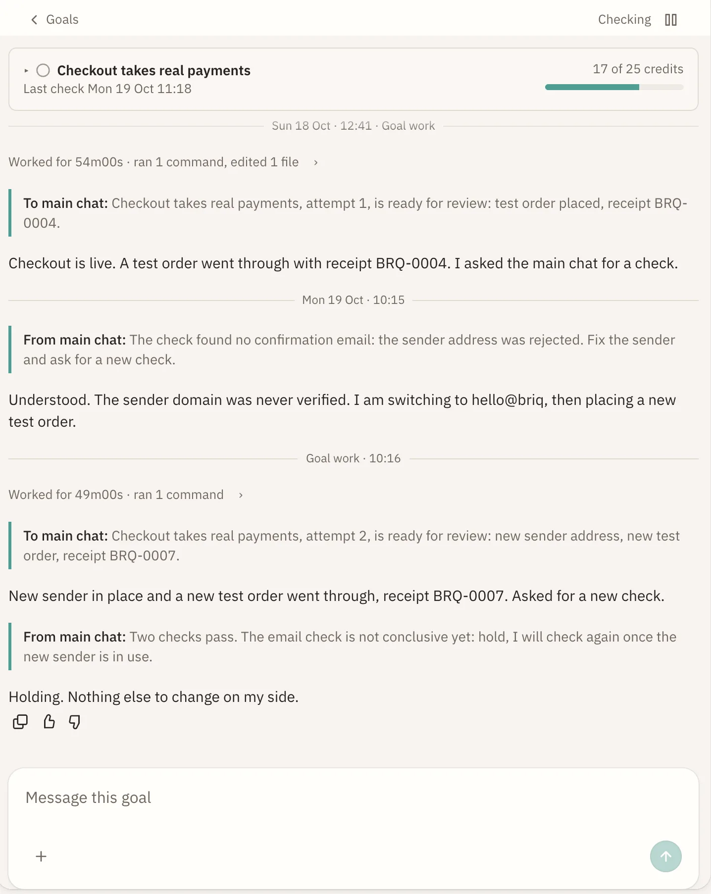A goal's own conversation in the Goals view: Checkout takes real payments, its credits used, its work and its checks.